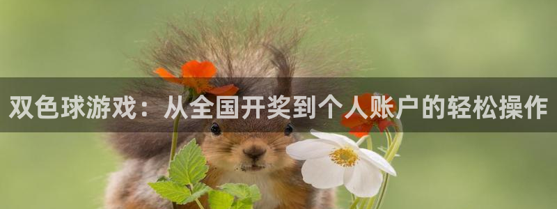 jr看球直播：双色球游戏：从全国开奖到个人账户的轻松操作