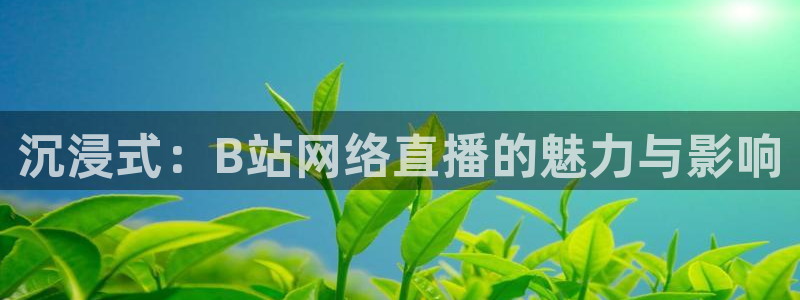 jrkan视频直播nba：沉浸式：B站网络直播的魅力与影响